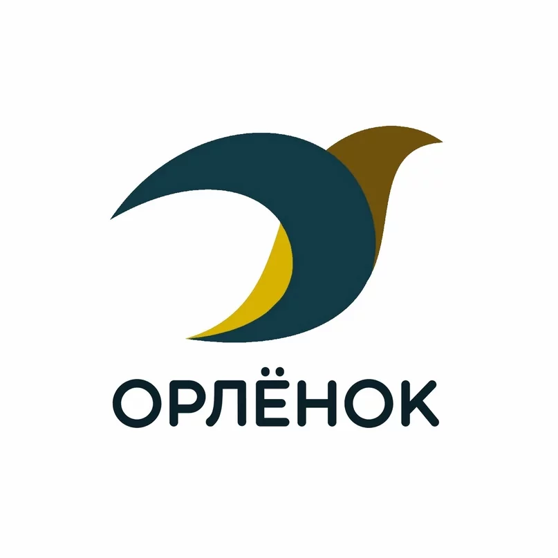 Детский Загородный оздоровительный лагерь  «Орленок»